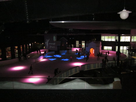 photo5