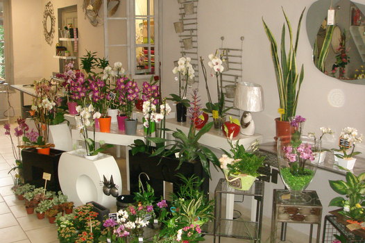 photo9
