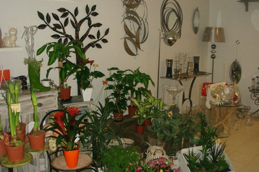 photo2