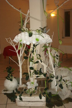 photo4