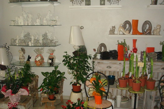 photo1