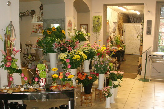 photo7
