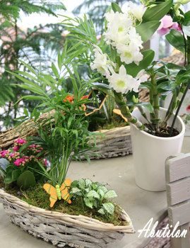 photo13