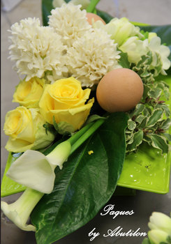 photo4