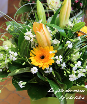 photo25