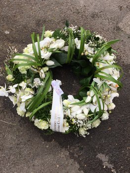 photo15