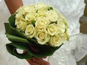 photo6