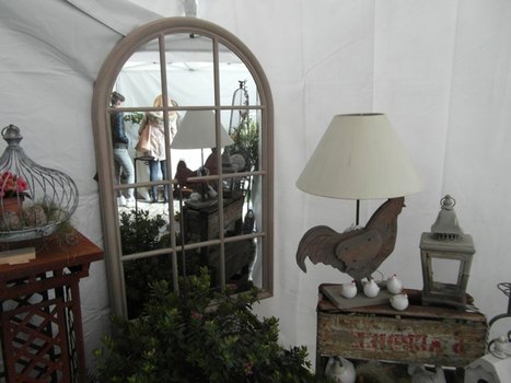 photo15