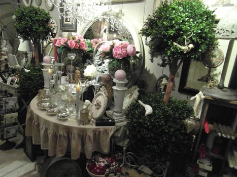 photo10