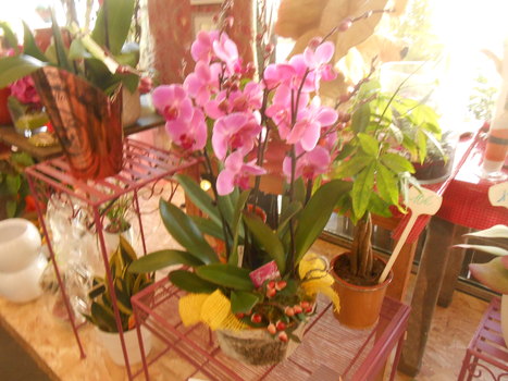 photo15