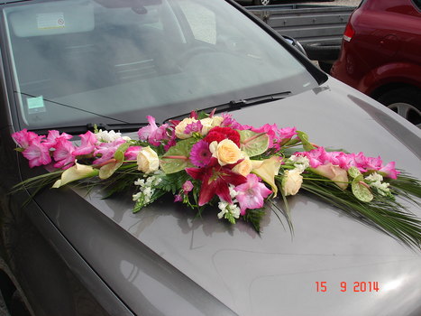 photo4