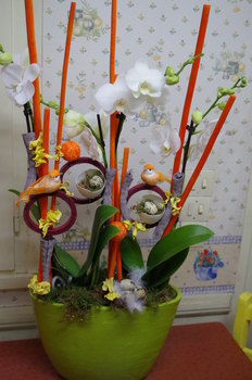 photo13