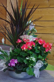 photo3