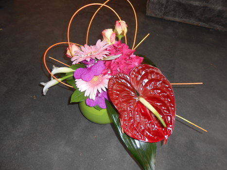 photo1