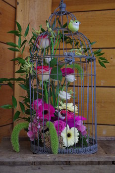 photo14