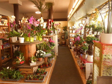 photo11