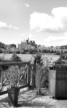 photo7