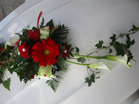photo3