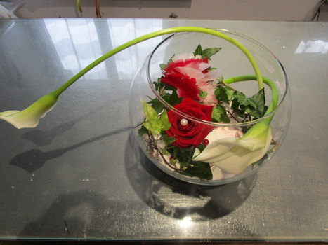 photo6