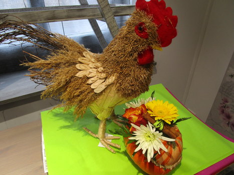 photo2