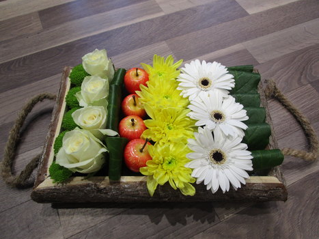 photo7