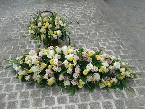 photo10