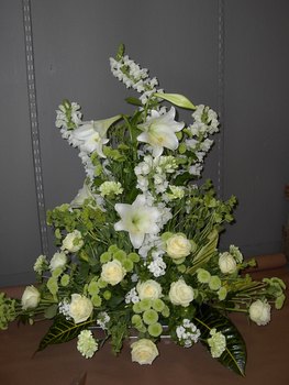 photo1