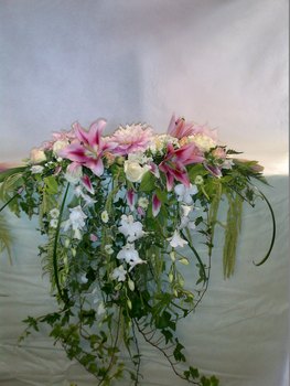 photo3