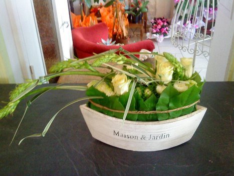 photo6