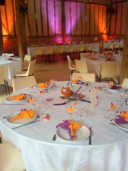 photo8