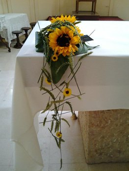 photo0