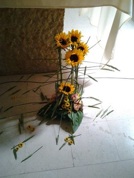 photo9