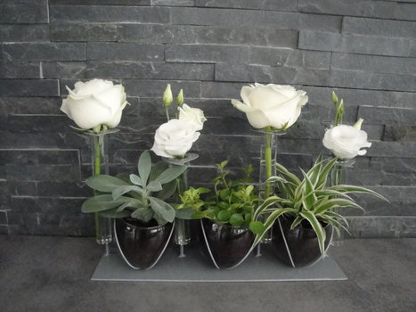 photo7