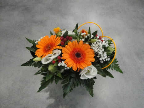 photo9