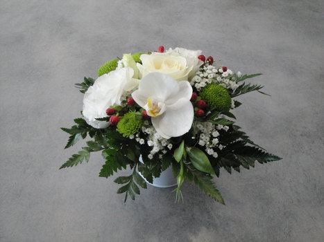 photo5