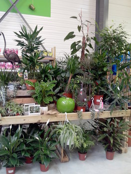 photo0